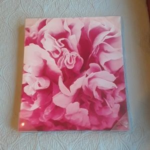 Brand New Rose canvas